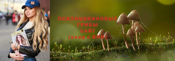 бошки Ветлуга