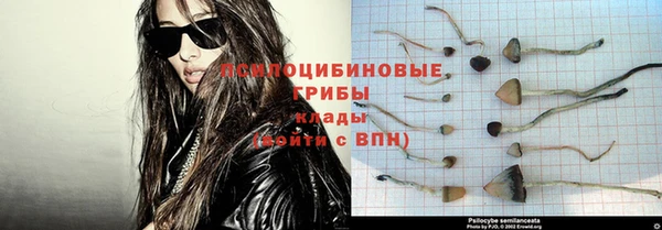 spice Рославль