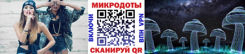 Галлюциногенные грибы Psilocybine cubensis  купить наркотики цена  Шагонар 